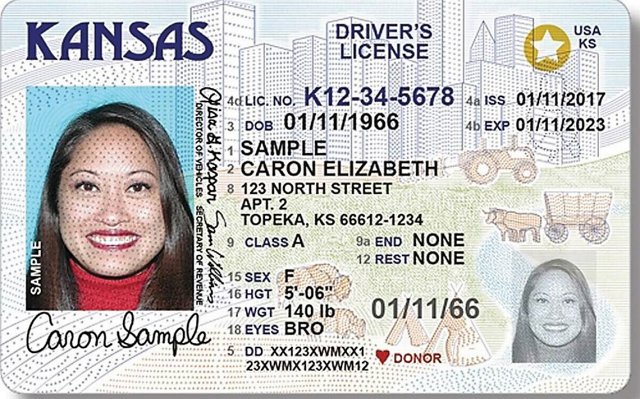 free drivers license template torrent